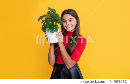 cheerful girl with monstera in pot on yellow background 94995082