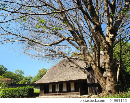 Shizuoka Prefecture Former Inagaki Family Residence October 94995153
