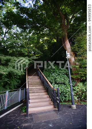 Minato-no-Mieru Oka Park Stairs to the summit of the French mountain area Minato-no-Mieru Oka Park Stairs to the summit of the French mountain area 94995653