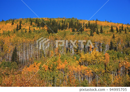 加拿大育空地區的初秋 94995705