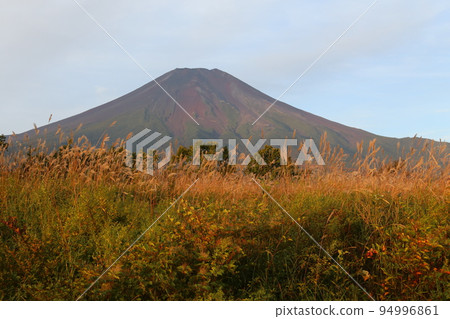 Mt. Fuji in the early morning Mt. Fuji in the early morning 94996861