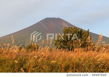 Mt. Fuji in the early morning Mt. Fuji in the early morning 94997689