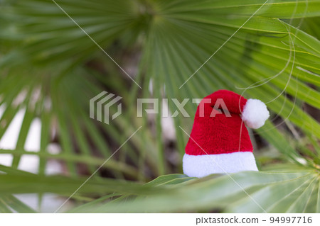Santa hat on a palm leaves. Christmas Holidays concept. Selective focus. Santa hat on a palm leaves. Christmas Holidays concept. Selective focus. 94997716