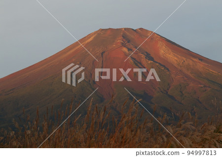 Mt. Fuji in the early morning Mt. Fuji in the early morning 94997813