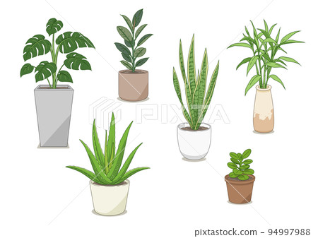 Set of ornamental plants illustration. Set of ornamental plants illustration. 94997988