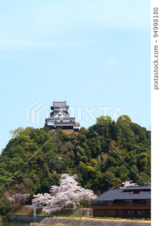 犬山市,犬山城和春天的櫻花景觀 犬山市,犬山城和春天的櫻花景觀 94998180