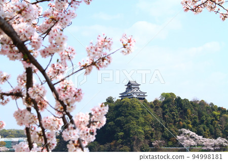 犬山市,犬山城和春天的櫻花景觀 犬山市,犬山城和春天的櫻花景觀 94998181