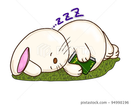 睡覺的兔子 睡覺的兔子 94998196