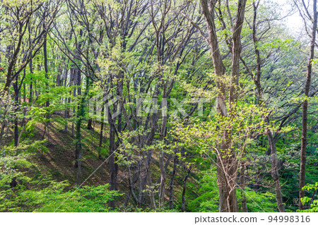 東京Tsudoi no Mori的新鮮綠色森林沐浴生態 94998316