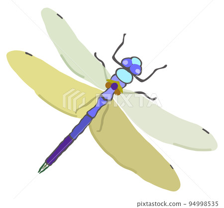 Vector simple illustration of dragonfly isolated on white background. 94998535