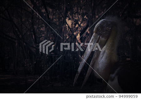 Halloween mystery concept 94999059