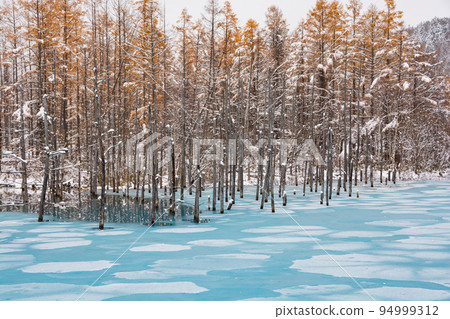 湖面已開始凍結美瑛町的藍色池塘 94999312