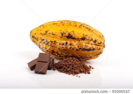 cocoa powder with cocoa pods and chocolate bars isolated on white background. cocoa powder with cocoa pods and chocolate bars isolated on white background. 95000587