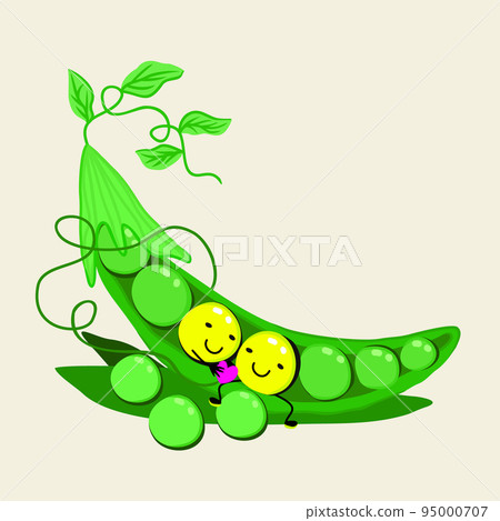 Vector bright illustration of pea pod. Two sweet peas in love in a pod. Isolated on light background. Love concept. Vector bright illustration of pea pod. Two sweet peas in love in a pod. Isolated on light background. Love concept. 95000707