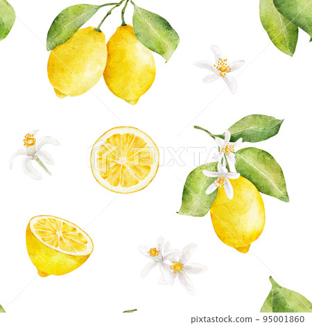 Watercolor seamless pattern with lemons and flowers isolated on white background. 95001860