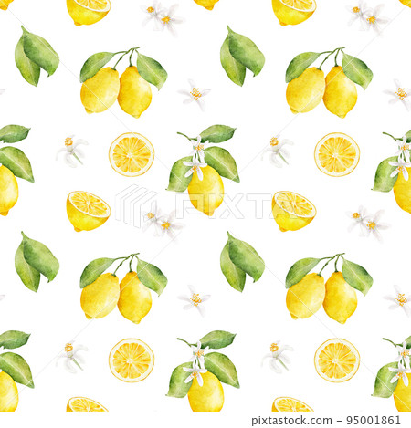 Watercolor seamless pattern with lemons and flowers isolated on white background. 95001861
