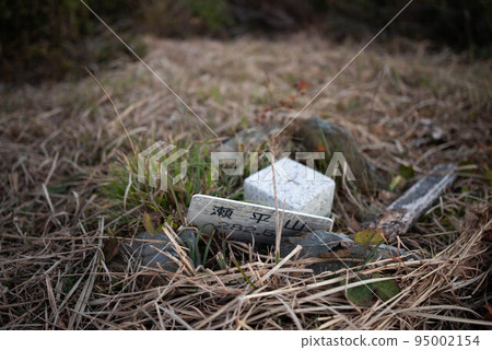 佐木市（米水津村） 色平山 95002154