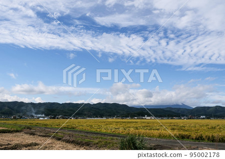 Autumn sky, autumn clouds, golden ears of rice and harvested fields Autumn sky, autumn clouds, golden ears of rice and harvested fields 95002178