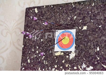 Carbon arrows 29 inches with purple plumage are stuck in a paper target and an isolon block catcher 95004063