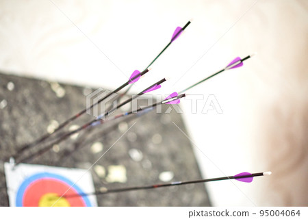 Carbon arrows 29 inches with purple plumage are stuck in a paper target and an isolon block catcher Carbon arrows 29 inches with purple plumage are stuck in a paper target and an isolon block catcher 95004064