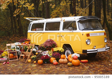fall composition with old van, pumpkins, flowers and picnic chairs and table on the autumn forest background 95005189