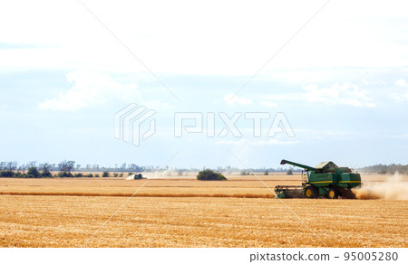 Time to harvest! Beautiful view of the work of the combine harvesting wheat. Harvester machine. 95005280