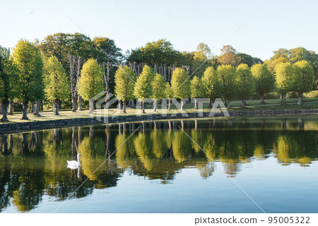 Lake with white swan 95005322