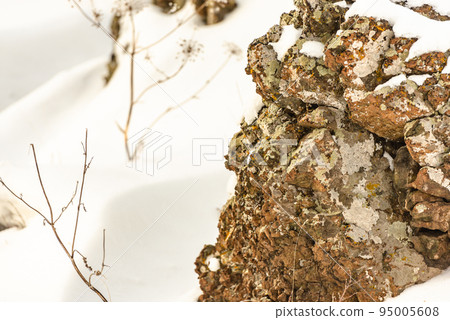Stone with moss in the snow 95005608