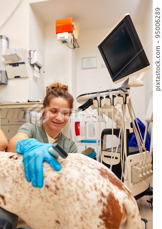 Female doctors from the veterinary team are doing an ultrasound scan of a cute beautiful dog. Veterinary concept. Female doctors from the veterinary team are doing an ultrasound scan of a cute beautiful dog. Veterinary concept. 95006289