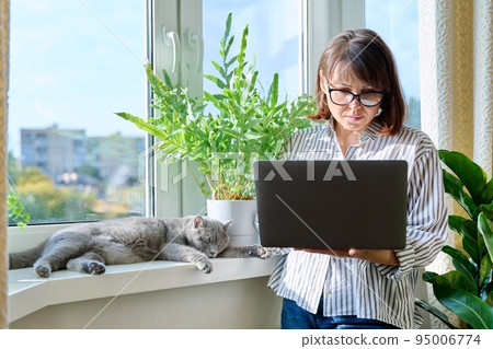 Middle aged woman using laptop near window, with sleeping pet cat Middle aged woman using laptop near window, with sleeping pet cat 95006774