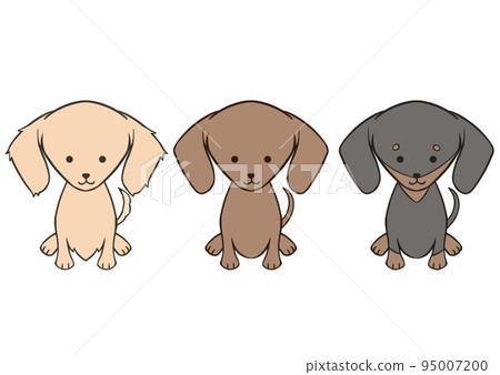 Sitting dachshund 3 types Sitting dachshund 3 types 95007200
