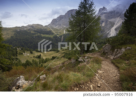 hiking trail in the mountains hiking trail in the mountains 95007916