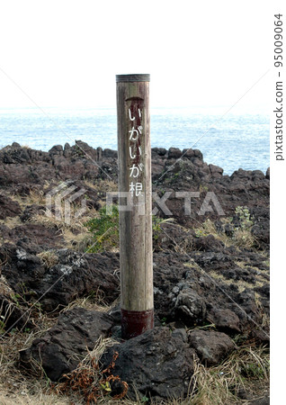 Name plate of mussel root Name plate of mussel root 95009064