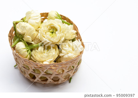 Jasmine flower on white background. 95009397