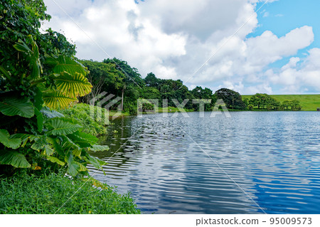 Hoomaluhia Botanical Park, Oahu, Waokele Pond Blue Sky 95009573