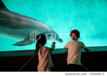 海豚和孩子們 95009613