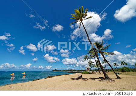 North Shore palm trees and beach with a refreshing breeze North Shore palm trees and beach with a refreshing breeze 95010136