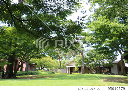 盛夏的小田黑公園 盛夏的小田黑公園 95010579