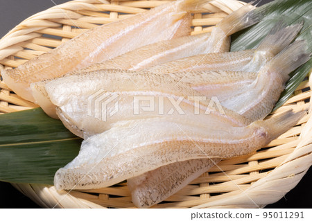 吻的開場 95011291