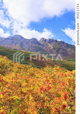 Mt. Ontake Ropeway to the 8th station with autumn leaves in full bloom 95011733