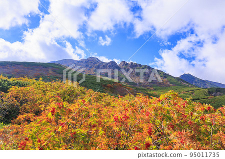 Mt. Ontake Ropeway to the 8th station with autumn leaves in full bloom Mt. Ontake Ropeway to the 8th station with autumn leaves in full bloom 95011735