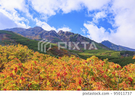 Mt. Ontake Ropeway to the 8th station with autumn leaves in full bloom 95011737