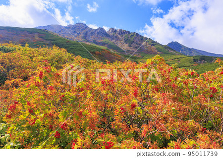 Mt. Ontake Ropeway to the 8th station with autumn leaves in full bloom 95011739