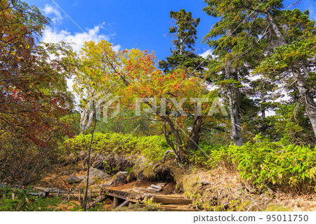 Mt. Ontake Ropeway to the 8th station with autumn leaves in full bloom Mt. Ontake Ropeway to the 8th station with autumn leaves in full bloom 95011750