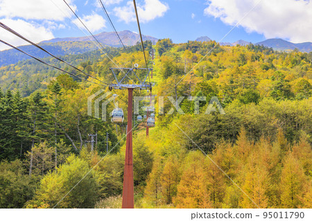 禦嶽山索道到八合目,紅葉盛開 禦嶽山索道到八合目,紅葉盛開 95011790