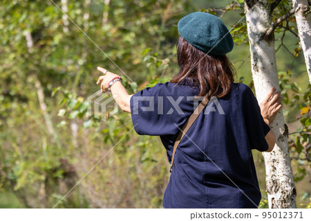 A woman strolling along a white birch forest path 95012371