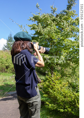 Female photographer taking pictures in nature Female photographer taking pictures in nature 95012501