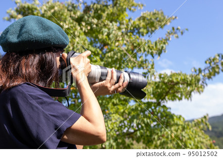 Female photographer taking pictures in nature 95012502