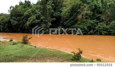 Beautiful Brown River Water in the Jungle Beautiful Brown River Water in the Jungle 95012918