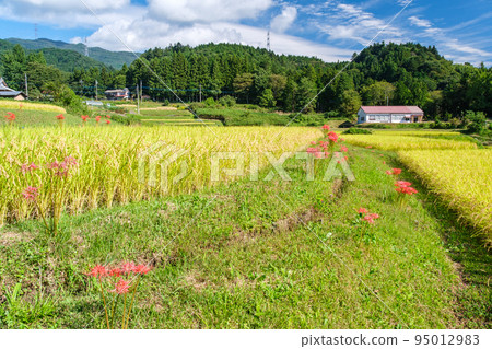 露台的藍天 露台的藍天 95012983